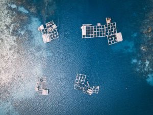 UNITED’s ocean multi-use solutions