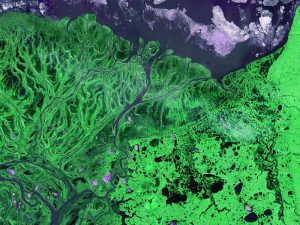 Ecological Engineering of Marine Infrastructure for Biosecurity webinar