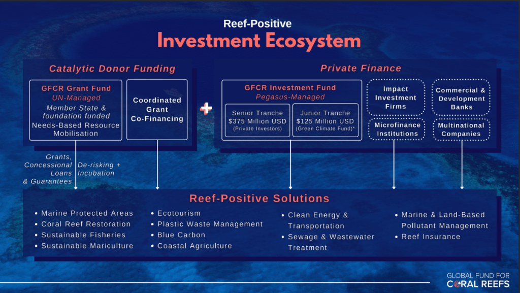image Mar+Invest: The Business Development and Finance Facility of the Mesoamerican Reef